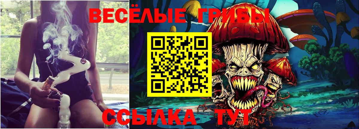 Галлюциногенные грибы мицелий  Вход с VPN  Артём 