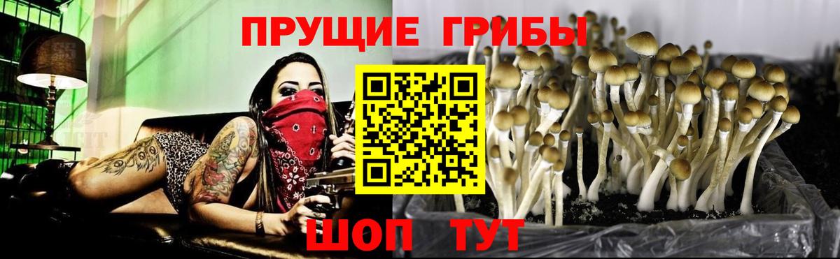 Галлюциногенные грибы MAGIC MUSHROOMS Артём